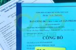 Công bố tiêu chuẩn cơ sở tinh dầu tràm để bán ra thị trường