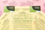 Tìm hiểu và đăng ký giấy phép bán lẻ rượu tại CAO Media