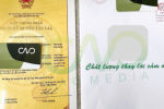Hồ sơ đăng ký bản quyền tác giả logo tại CAO Media