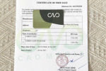 Nộp hồ sơ Certificate of free sale – CFS ở cơ quan nào?
