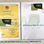 Hồ sơ đăng ký bản quyền tác giả logo tại CAO Media