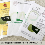 Nên đăng ký nhãn hiệu hay bản quyền tác giả cho logo công ty?