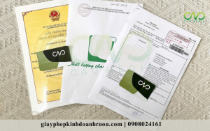 Nên đăng ký nhãn hiệu hay bản quyền tác giả cho logo công ty?