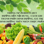 THÔNG TƯ 29/2023/TT-BYT