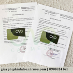 Xuất khẩu hàng hóa nên xin giấy chứng nhận HC hay CFS?