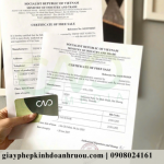 Xin giấy chứng nhận CFS nước giải khát đóng lon để xuất khẩu