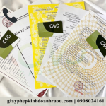 Showroom bán rượu cần đăng ký những giấy phép con nào?