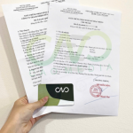 Đăng ký giấy phép chi nhánh công ty tại Tp.Hồ Chí Minh như thế nào?