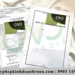 Thủ tục công bố ly nhựa thực phẩm như thế nào mới nhất 2026